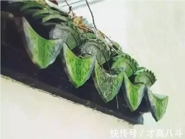 蓦然回首#宋词里的人生真谛:抱一份深情,活一份通透