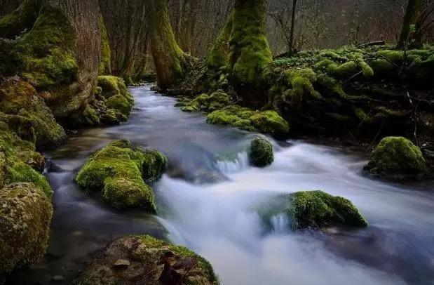 周幽王$农村20句经典歇后语,妙语连珠,专治不开心!