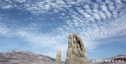 世上特别的三只手,一只抓着树干,一只在沙漠里,最后一只在我国