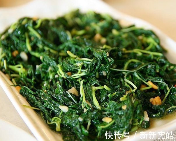 红麻|它在以前是麻绳原料首选,如今却被视为高级野菜,现在采摘正当时