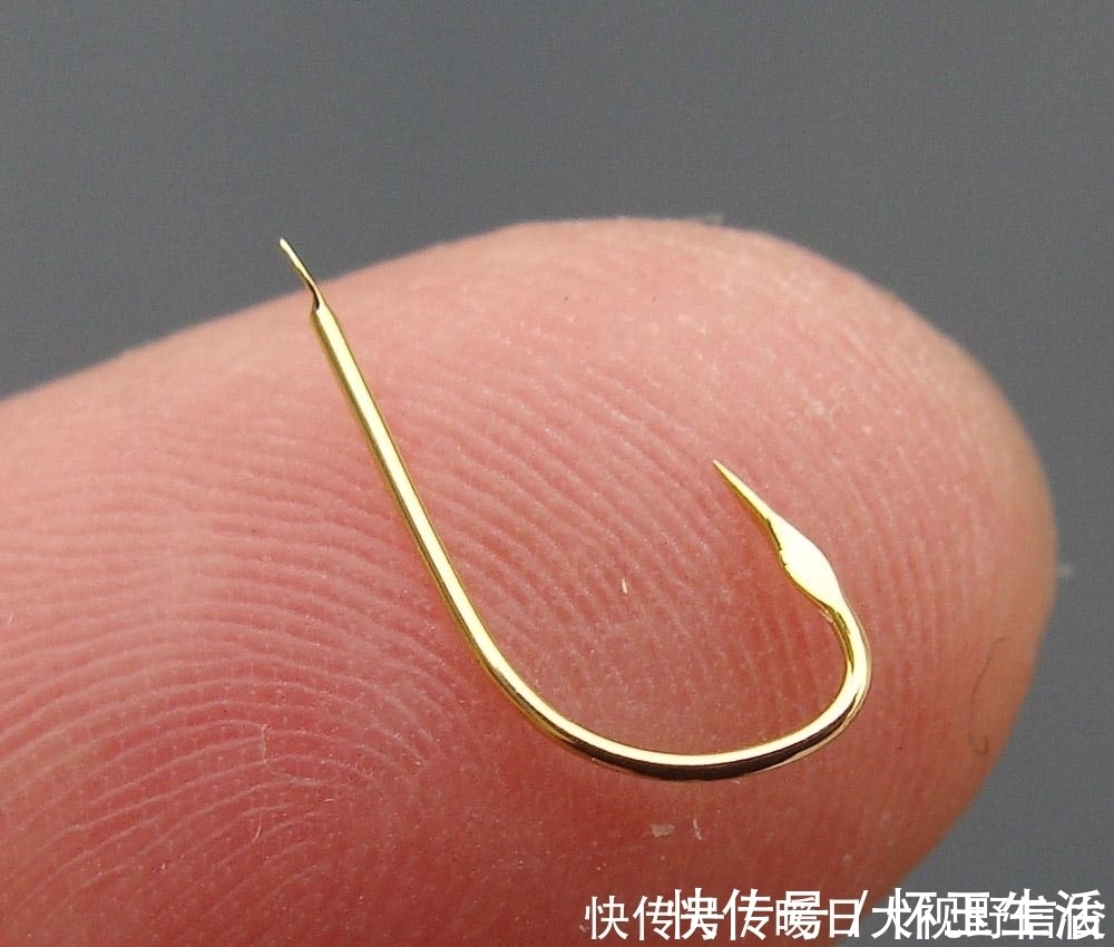 鱼儿|无倒刺不能等死口？盘点几个对钩子的误解，很多钓鱼人都有