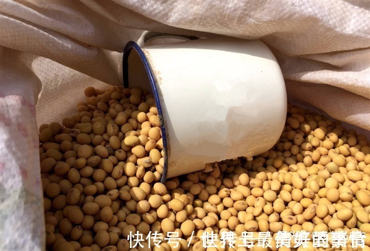 犹太民族#犹太人的富人思维:“卖豆子”思维,读懂它,教你变得不平凡