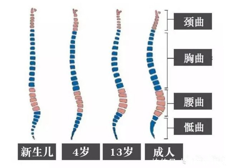 补水|不要对新生儿做这11件事，第5和第8尤其要注意！