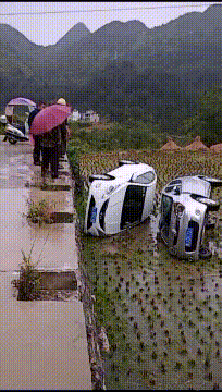 |搞笑GIF: 现在做生意太难了 今天有位客人要吃毛衣