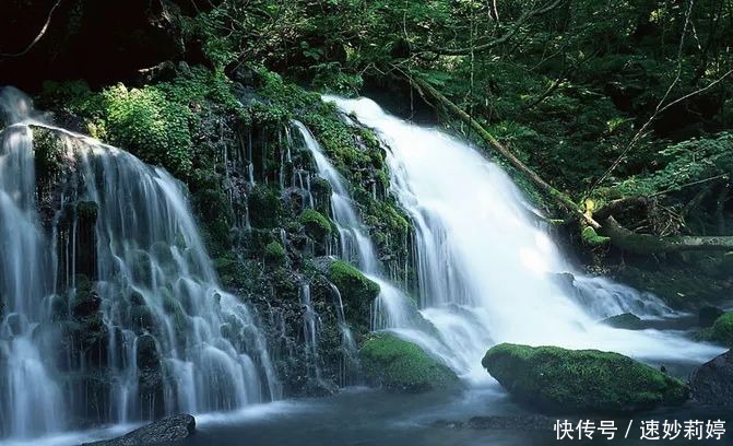 老君山|远赴人间惊鸿宴