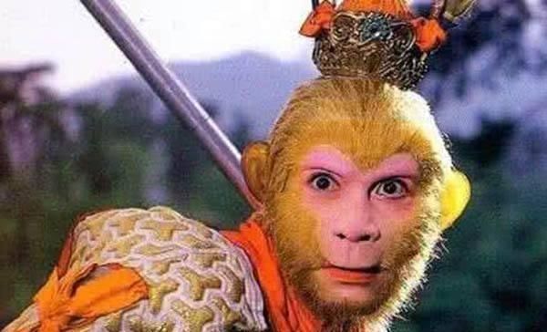 净坛使者|西游记,取经后孙悟空成佛,但猪八戒得到的封赏比孙悟空强百倍