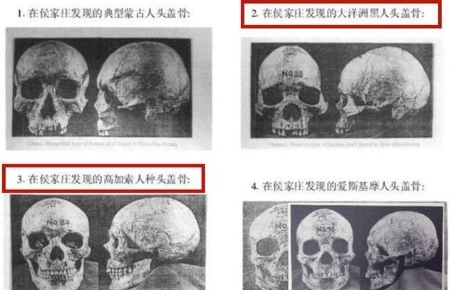  中华民族|殷墟出土大量黑人头骨，学者研究完感慨：妇好拯救了中华民族！