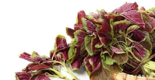 六月莧|農(nóng)村的這種夏季的野菜,你吃過(guò)嗎?六月當(dāng)雞蛋;七月金不換!