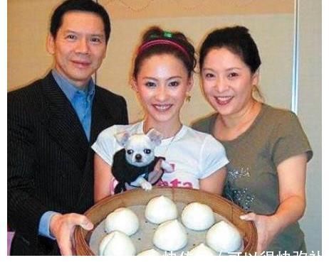 GAI给陈小春道歉?成为柏芝备胎的陈小春,为何娶了应采儿