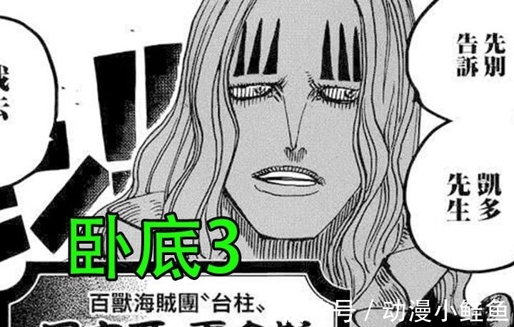 卧底|海贼王:凯多的确不容易,手下全是卧底,堪比柯南里的琴酒