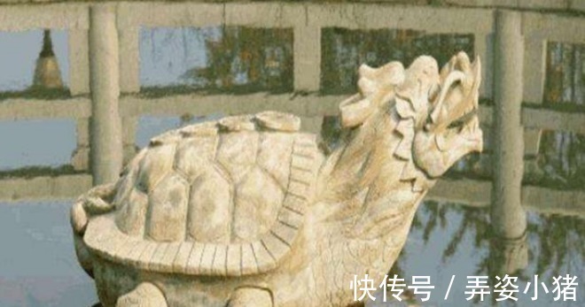 生活环境$古人掘井后,为何要在井里放鱼或乌龟?老祖宗的智慧不服不行