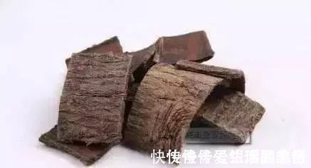 降血压|用它泡水喝能有效降血压,还能治疗肝肾不足!告诉家里有高血压的人