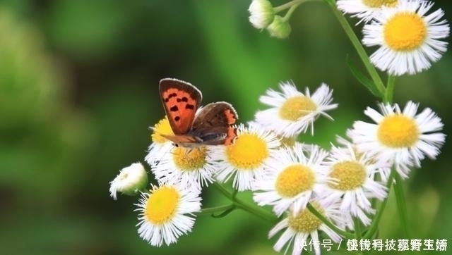 诗人$王维最感人的一首诗,句句都是千古名言,感动了历代无数的读者