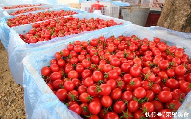 维生素b|明日小暑，推荐大家吃“4瓜4果”，又便宜又有营养，更重要是解暑