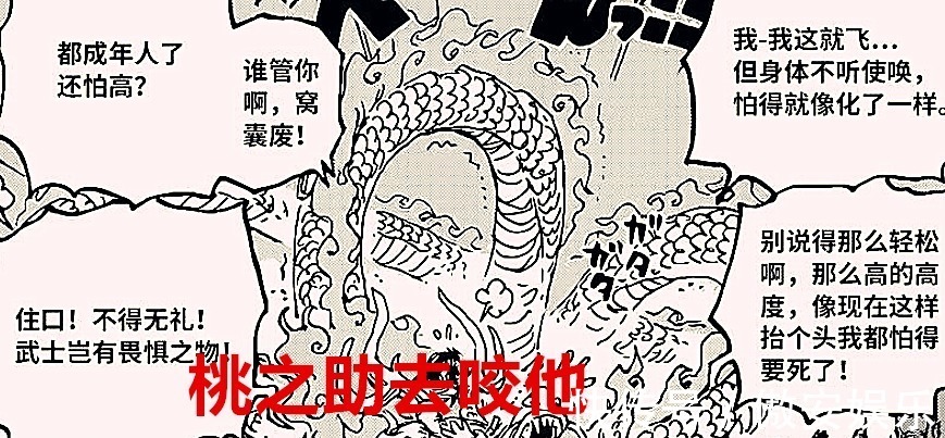 白胡子|海贼王1026话:路飞用裂天验证自己是四皇级别,桃之助咬伤凯多