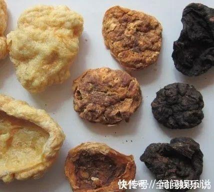 产妇|生完宝宝后,你的胎盘“埋了”还是“吃掉”?做法不同结果大不同