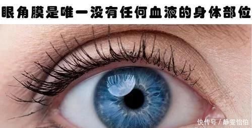 知识|关于人体的10个鲜为人知,但很真实的冷知识