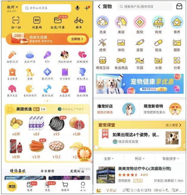 波奇宠物APP竞品分析报告