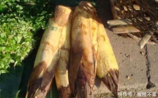 30年前农村很多,小孩常摘来玩,如今是一道美味,但知道的人不多