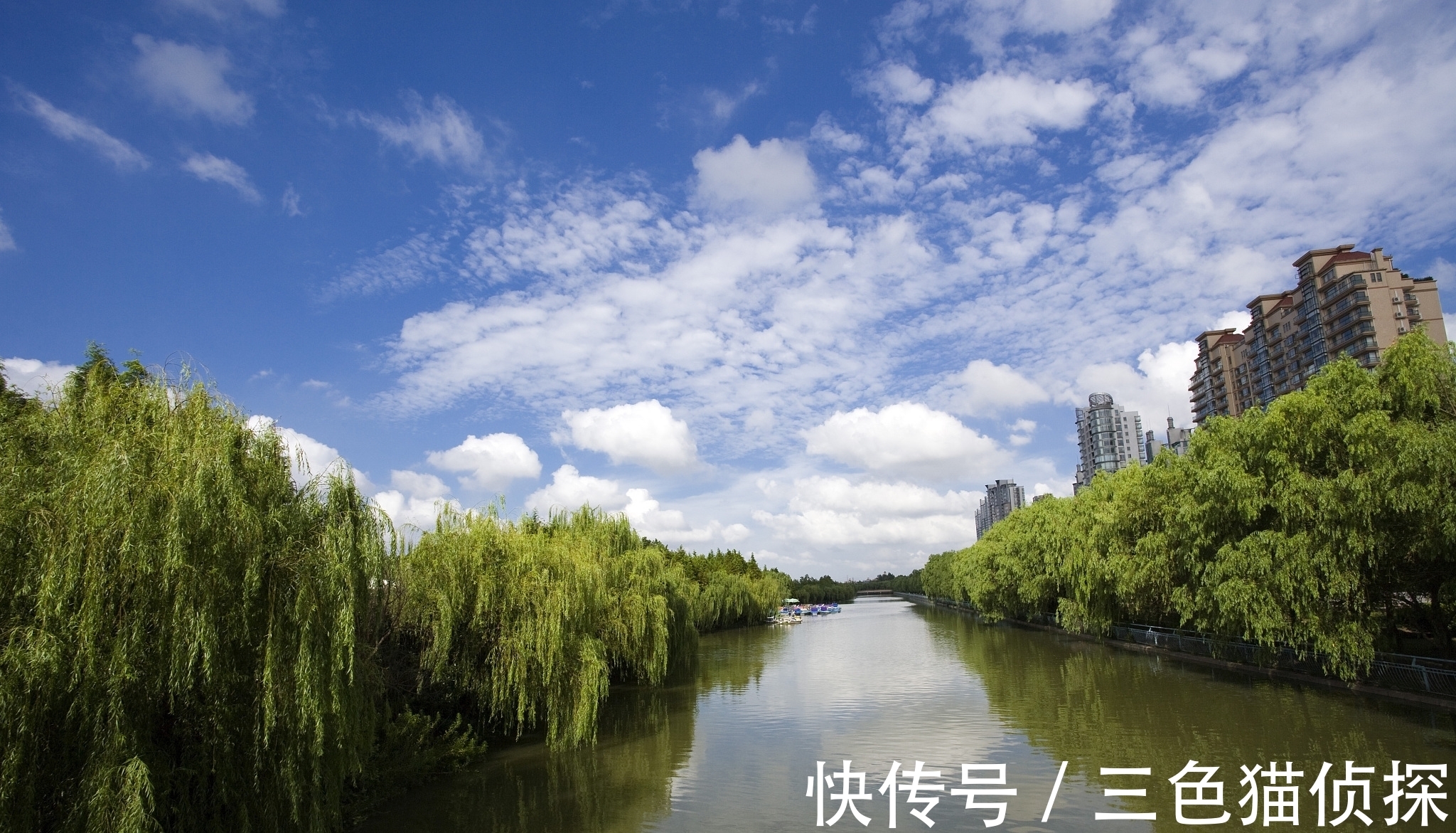 轻盈$独特不过这首诗:全篇四句描写杨柳,后两句尤其别出心裁