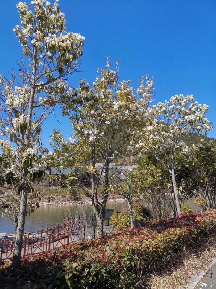 自由骑行；九仙山风景区游记.