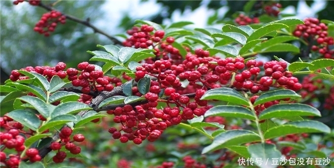 老中医：冬天晚上泡脚好处多，这样泡脚，祛湿效果翻倍！