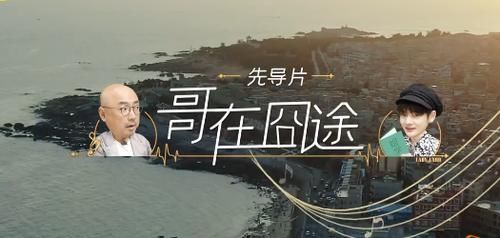  极恐|浪姐成团首秀，周震南细思极恐，杨洋成为前车之鉴，徐峥也慌了