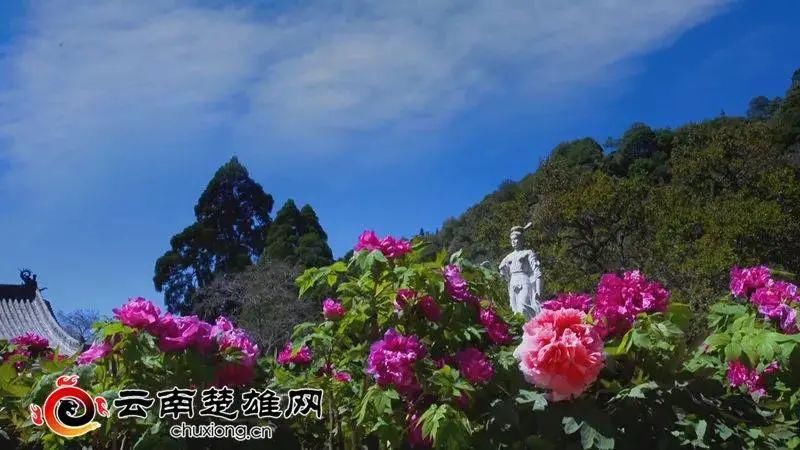  高原|退却浮华 一脚踏入滇中的高原神韵里