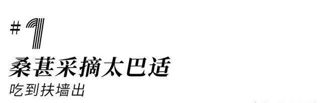 桑葚采摘、露营烧烤、赏花拍照，周末去这耍，巴适玩1天