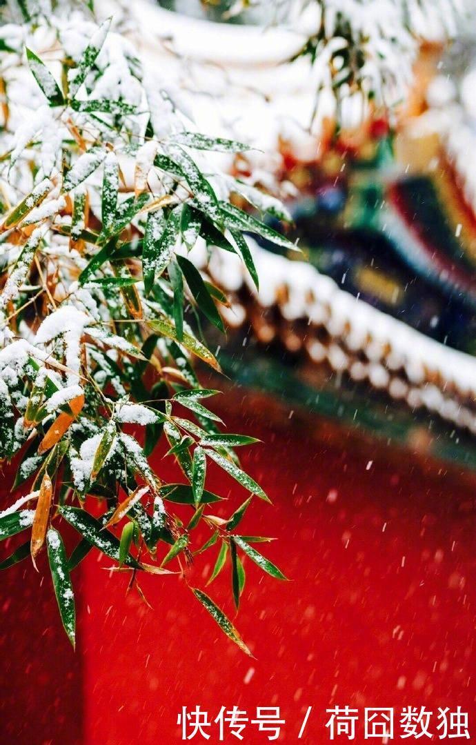 星球|故宫绝美雪景又火了！网友直呼梦回紫禁城，这两款神器更浪漫