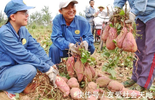 红薯|25岁女子血脂飙升脑梗离世！医生：这种粗粮天天吃，血管稠如“粥”