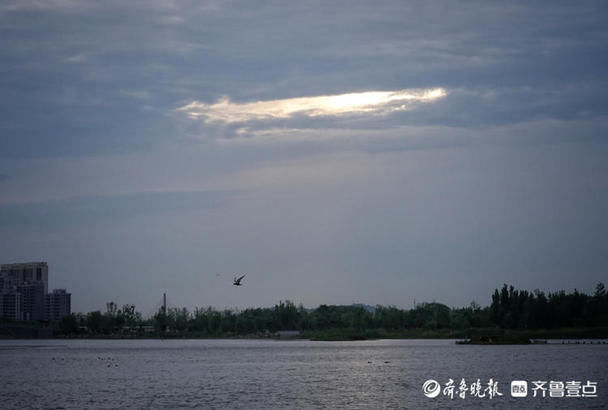 湖面|华山湖“湖”拍，几只椋鸟在湖面上飞来飞去