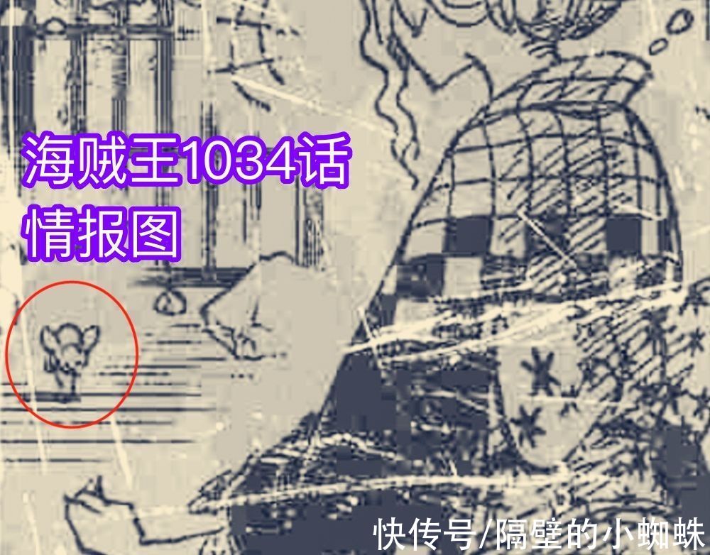 和之国|海贼王1034话：奎因是渣男！打伤和之国第二美女，还嫁祸给山治