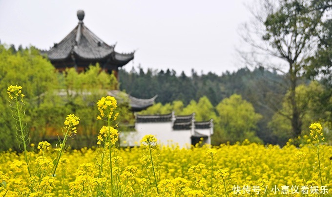 2021年婺源油菜花时间预告，万亩花海“精彩”待上线！