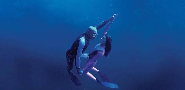 葱头|宠辱之间——争与不争