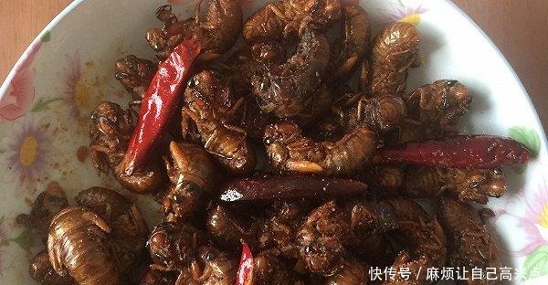 观音菩萨|西游记后传他自称小仙 原著中他连如来佛祖都不放在眼里