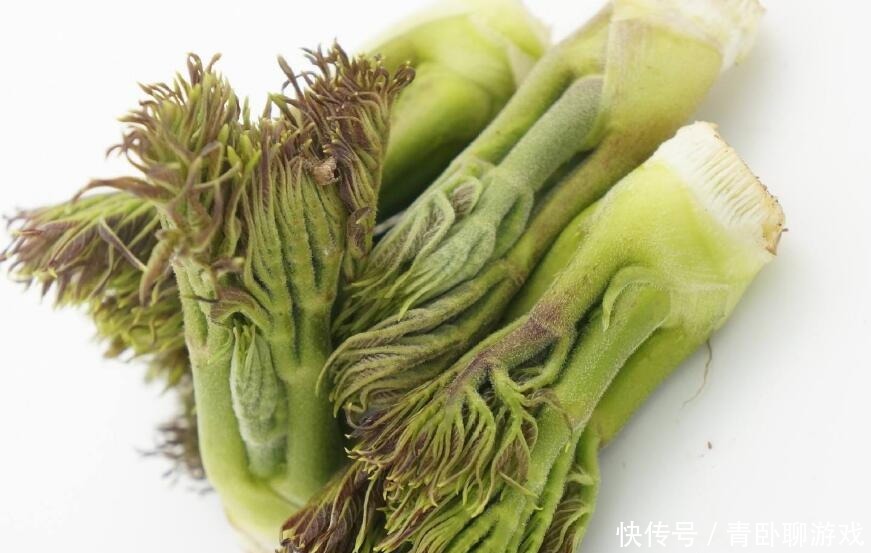 清明前后,無論貧富多吃 “樹上5寶”,季節性很強,錯過等明年