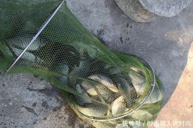 酒后|饵料厂离职员工,酒后吐露商品窝料配方,感兴趣的钓友请拿走