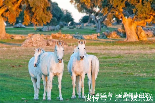 含有|属马的人名字中若含有这些“字”，则事事顺心，心想事成！