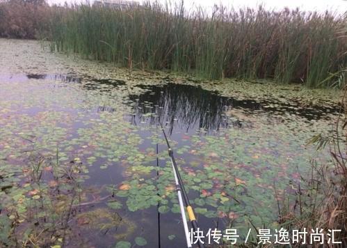 野河钓鲫，钓位这样选，渔获之多，一盆装不下