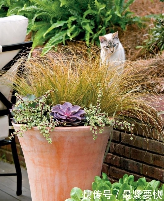 任何容器都能用来做花盆,请收好这30种美丽的花盆搭配设计