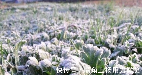 松巴哇岛|1816鼠年发生了什么？为何会出现六月飞雪，导致全球20万人被冻死