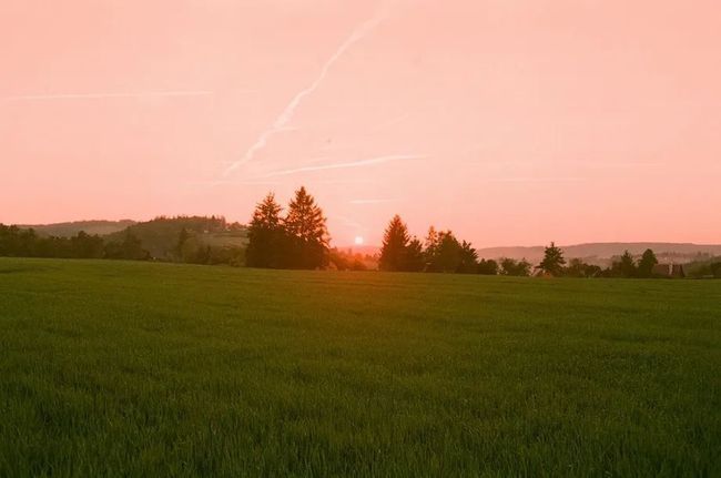 意志|叔本华：别让生活耗尽你的美好