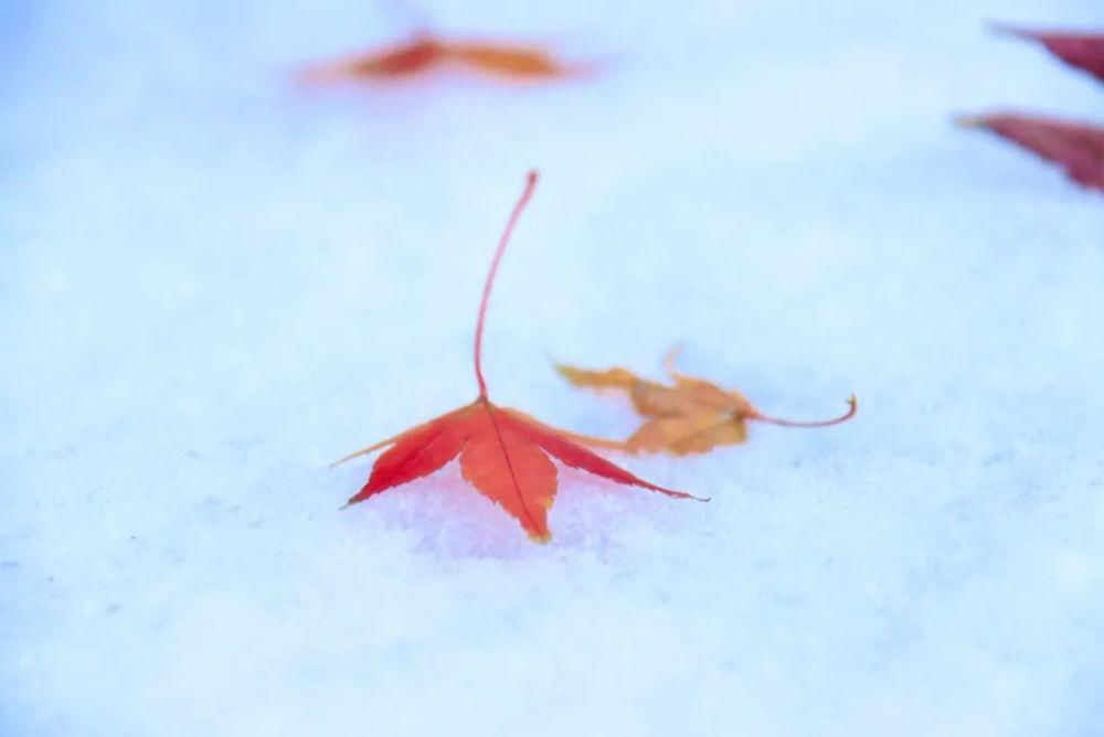 惊艳|注意！如皋初雪惊艳整个朋友圈！降温结冰，上班路上注意安全！