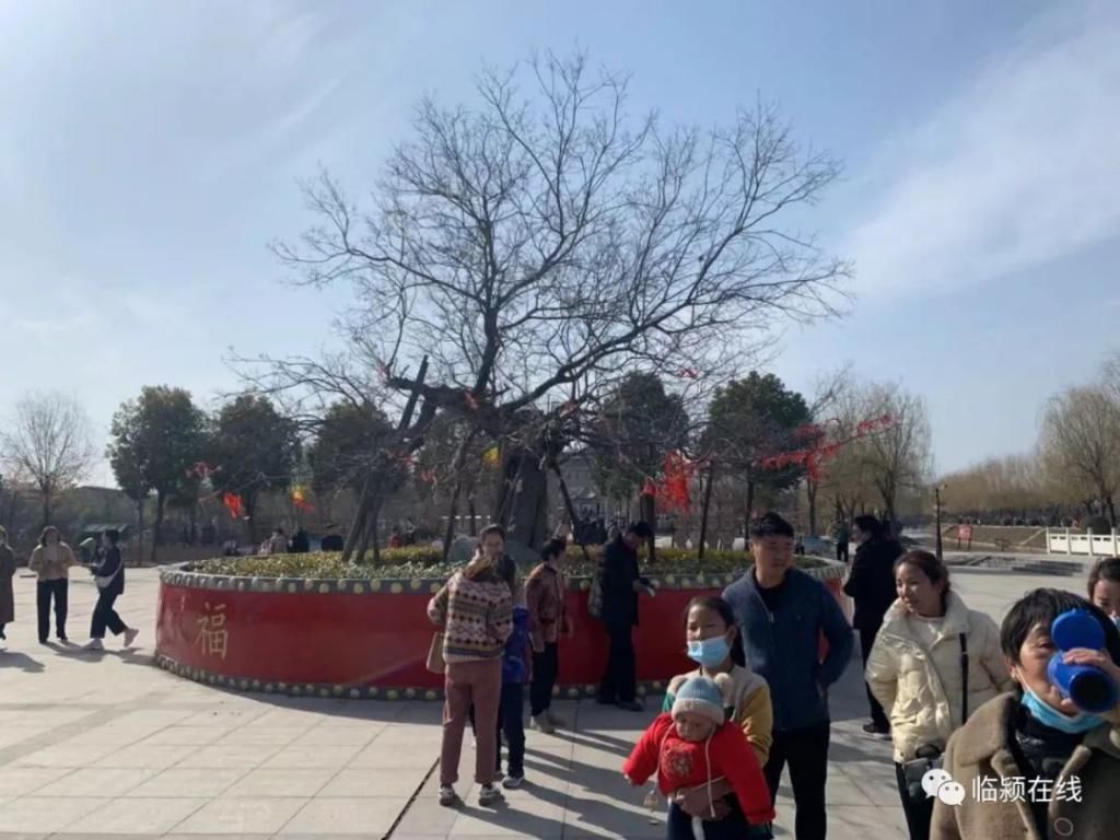 漯河人免费入园!这个景区春节人山人海,好热闹...