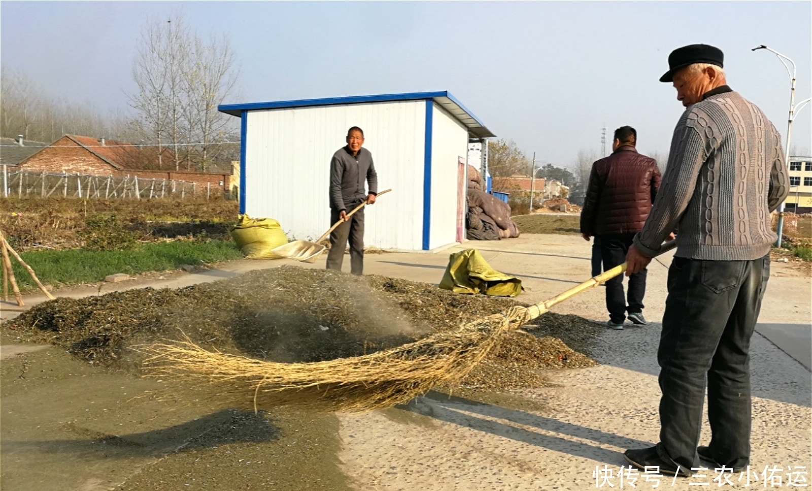 農(nóng)村有種“鬼不纏”的植物,是流落民間的中藥材,小時(shí)候當(dāng)暗器