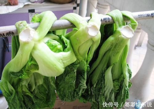 酸菜|腌酸菜，放盐是大错教你农家老方法，3天就腌好，1年不坏，比买的香