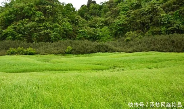 “稻城古冰帽”，梦幻雪山中的沙滩海子