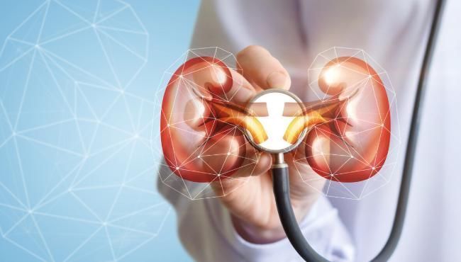 食物|伤肾最深的行为找到了,不是烟酒,也不是熬夜,而是吃四种食物