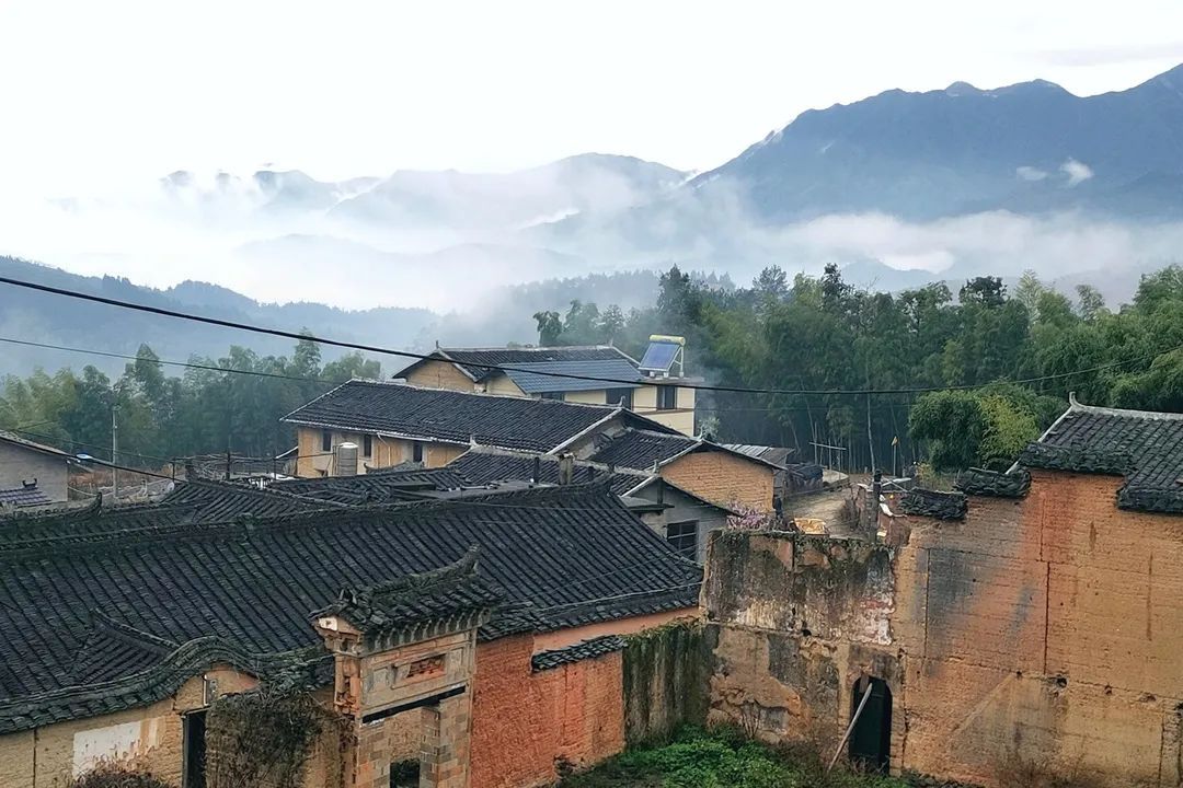 庆元县|茶旅融合 · 美丽薰山下 古朴清幽安逸